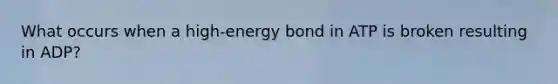 What occurs when a high-energy bond in ATP is broken resulting in ADP?