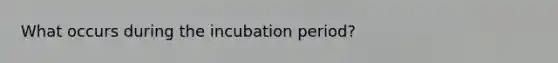 What occurs during the incubation period?