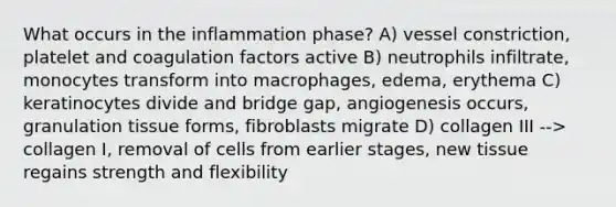 What occurs in the inflammation phase? A) vessel constriction, platelet and coagulation factors active B) neutrophils infiltrate, monocytes transform into macrophages, edema, erythema C) keratinocytes divide and bridge gap, angiogenesis occurs, granulation tissue forms, fibroblasts migrate D) collagen III --> collagen I, removal of cells from earlier stages, new tissue regains strength and flexibility