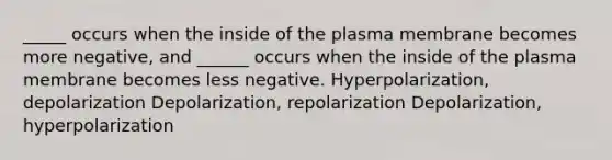 _____ occurs when the inside of the plasma membrane becomes more negative, and ______ occurs when the inside of the plasma membrane becomes less negative. Hyperpolarization, depolarization Depolarization, repolarization Depolarization, hyperpolarization