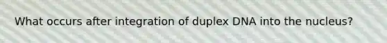 What occurs after integration of duplex DNA into the nucleus?