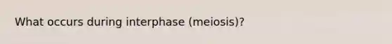 What occurs during interphase (meiosis)?