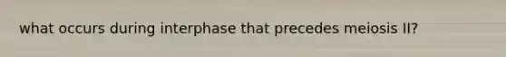 what occurs during interphase that precedes meiosis II?