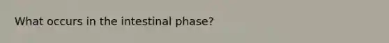 What occurs in the intestinal phase?