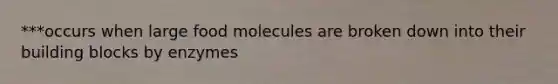 ***occurs when large food molecules are broken down into their building blocks by enzymes