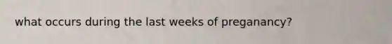 what occurs during the last weeks of preganancy?