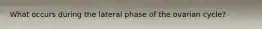 What occurs during the lateral phase of the ovarian cycle?