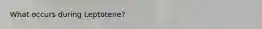 What occurs during Leptotene?