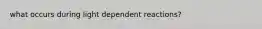 what occurs during light dependent reactions?