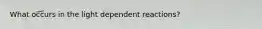 What occurs in the light dependent reactions?