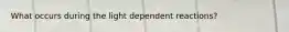 What occurs during the light dependent reactions?