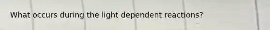 What occurs during the light dependent reactions?