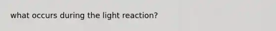 what occurs during the light reaction?