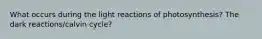 What occurs during the light reactions of photosynthesis? The dark reactions/calvin cycle?