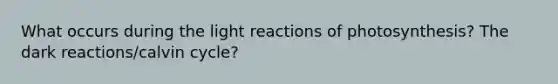 What occurs during the light reactions of photosynthesis? The dark reactions/calvin cycle?