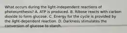 What occurs during the light-independent reactions of photosynthesis? A. ATP is produced. B. Ribose reacts with carbon dioxide to form glucose. C. Energy for the cycle is provided by the light-dependent reaction. D. Darkness stimulates the conversion of glucose to starch.