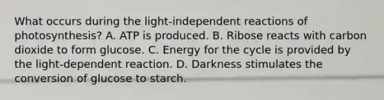 What occurs during the light-independent reactions of photosynthesis? A. ATP is produced. B. Ribose reacts with carbon dioxide to form glucose. C. Energy for the cycle is provided by the light-dependent reaction. D. Darkness stimulates the conversion of glucose to starch.