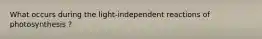 What occurs during the light-independent reactions of photosynthesis ?
