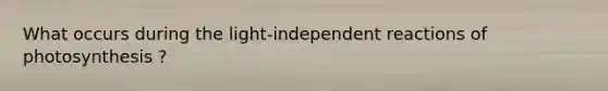 What occurs during the light-independent reactions of photosynthesis ?