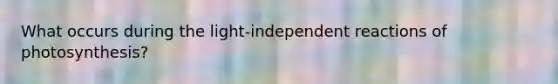 What occurs during the light-independent reactions of photosynthesis?
