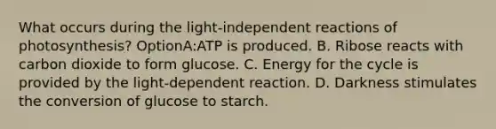 What occurs during the light-independent reactions of photosynthesis? OptionA:ATP is produced. B. Ribose reacts with carbon dioxide to form glucose. C. Energy for the cycle is provided by the light-dependent reaction. D. Darkness stimulates the conversion of glucose to starch.