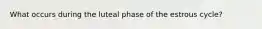 What occurs during the luteal phase of the estrous cycle?