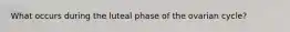 What occurs during the luteal phase of the ovarian cycle?