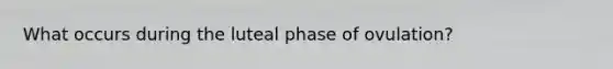 What occurs during the luteal phase of ovulation?