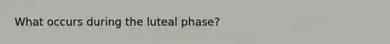 What occurs during the luteal phase?