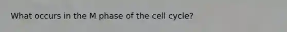 What occurs in the M phase of the cell cycle?