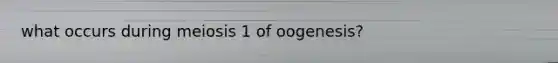 what occurs during meiosis 1 of oogenesis?