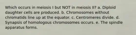 Which occurs in meiosis I but NOT in meiosis II? a. Diploid daughter cells are produced. b. Chromosomes without chromatids line up at the equator. c. Centromeres divide. d. Synapsis of homologous chromosomes occurs. e. The spindle apparatus forms.