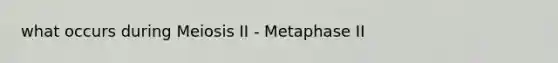 what occurs during Meiosis II - Metaphase II