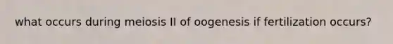 what occurs during meiosis II of oogenesis if fertilization occurs?