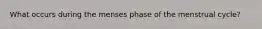 What occurs during the menses phase of the menstrual cycle?