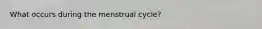 What occurs during the menstrual cycle?
