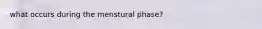 what occurs during the menstural phase?