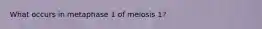 What occurs in metaphase 1 of meiosis 1?