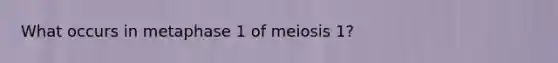 What occurs in metaphase 1 of meiosis 1?