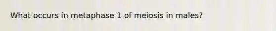 What occurs in metaphase 1 of meiosis in males?