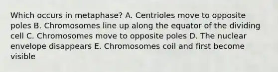 Which occurs in metaphase? A. Centrioles move to opposite poles B. Chromosomes line up along the equator of the dividing cell C. Chromosomes move to opposite poles D. The nuclear envelope disappears E. Chromosomes coil and first become visible