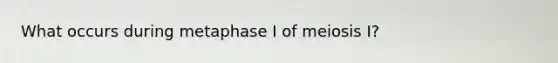 What occurs during metaphase I of meiosis I?