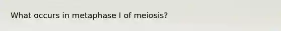 What occurs in metaphase I of meiosis?