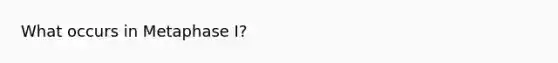 What occurs in Metaphase I?