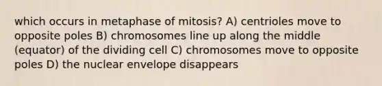 which occurs in metaphase of mitosis? A) centrioles move to opposite poles B) chromosomes line up along the middle (equator) of the dividing cell C) chromosomes move to opposite poles D) the nuclear envelope disappears