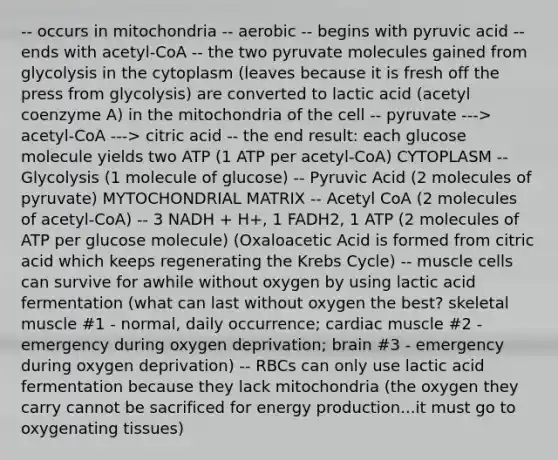 -- occurs in mitochondria -- aerobic -- begins with pyruvic acid -- ends with acetyl-CoA -- the two pyruvate molecules gained from glycolysis in the cytoplasm (leaves because it is fresh off the press from glycolysis) are converted to lactic acid (acetyl coenzyme A) in the mitochondria of the cell -- pyruvate ---> acetyl-CoA ---> citric acid -- the end result: each glucose molecule yields two ATP (1 ATP per acetyl-CoA) CYTOPLASM -- Glycolysis (1 molecule of glucose) -- Pyruvic Acid (2 molecules of pyruvate) MYTOCHONDRIAL MATRIX -- Acetyl CoA (2 molecules of acetyl-CoA) -- 3 NADH + H+, 1 FADH2, 1 ATP (2 molecules of ATP per glucose molecule) (Oxaloacetic Acid is formed from citric acid which keeps regenerating the <a href='https://www.questionai.com/knowledge/kqfW58SNl2-krebs-cycle' class='anchor-knowledge'>krebs cycle</a>) -- muscle cells can survive for awhile without oxygen by using lactic acid fermentation (what can last without oxygen the best? skeletal muscle #1 - normal, daily occurrence; cardiac muscle #2 - emergency during oxygen deprivation; brain #3 - emergency during oxygen deprivation) -- RBCs can only use lactic acid fermentation because they lack mitochondria (the oxygen they carry cannot be sacrificed for <a href='https://www.questionai.com/knowledge/k3xoUYcii1-energy-production' class='anchor-knowledge'>energy production</a>...it must go to oxygenating tissues)