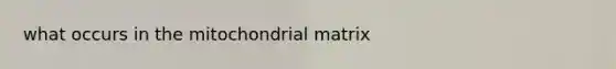 what occurs in the mitochondrial matrix