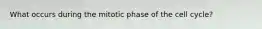 What occurs during the mitotic phase of the cell cycle?