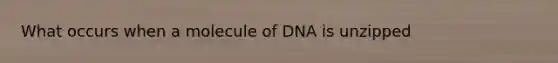 What occurs when a molecule of DNA is unzipped