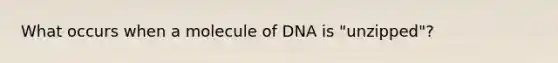 What occurs when a molecule of DNA is "unzipped"?